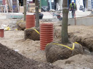 The root balls of the small trees are anchored professionally to protect the trees against wind suction. The root balls of the small trees are anchored